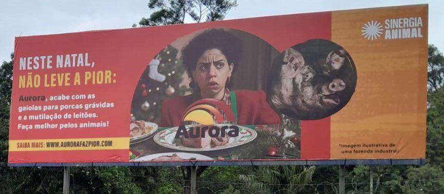 whatsapp image 2024 11 28 at 10.38.59 (1)