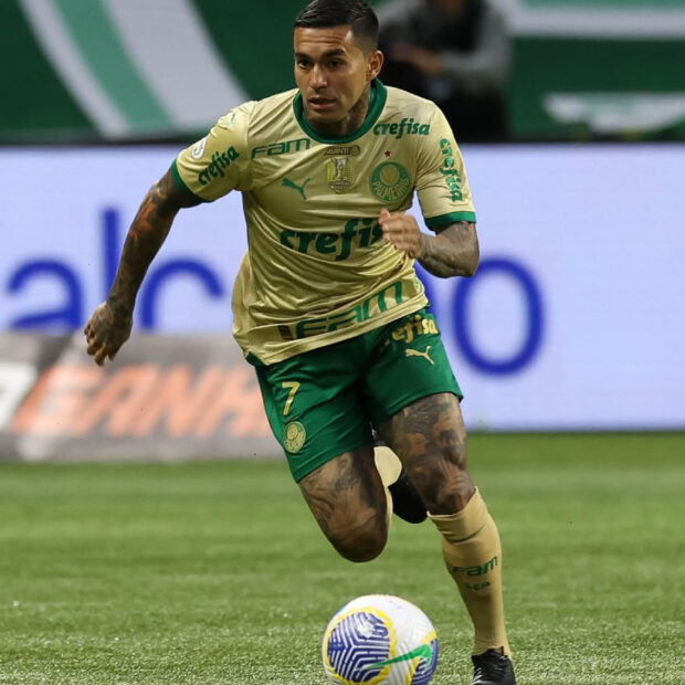 snapinsta.app 459868726 496288783300001 7481388494887609493 n 1080 (2) (1)