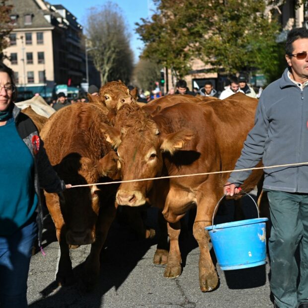 france agriculture demonstration
