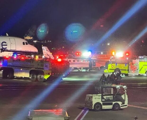 avioses usa