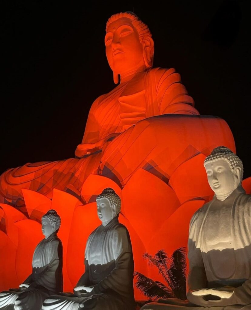 whatsapp image 2024 11 29 at 12.02.43 (2)