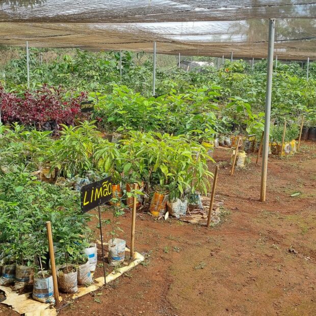 foto divulgacao funap df 2 1920x1280