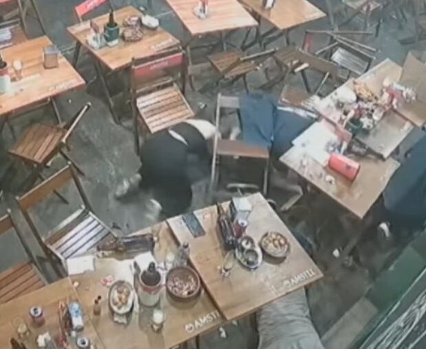 4y6v9poerm38gp59zrtumx2zf