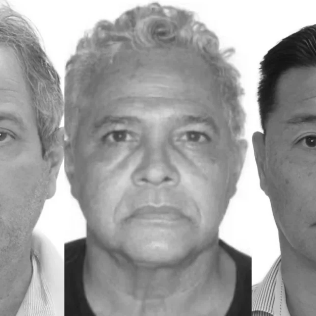 antonio jose de araujo filho gilmar de lima neto e walter watanabe receita federal