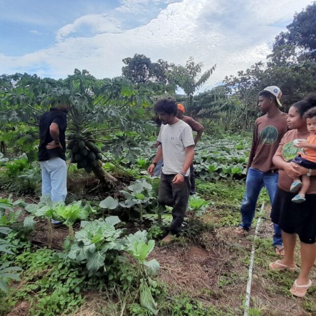 produtores organicos