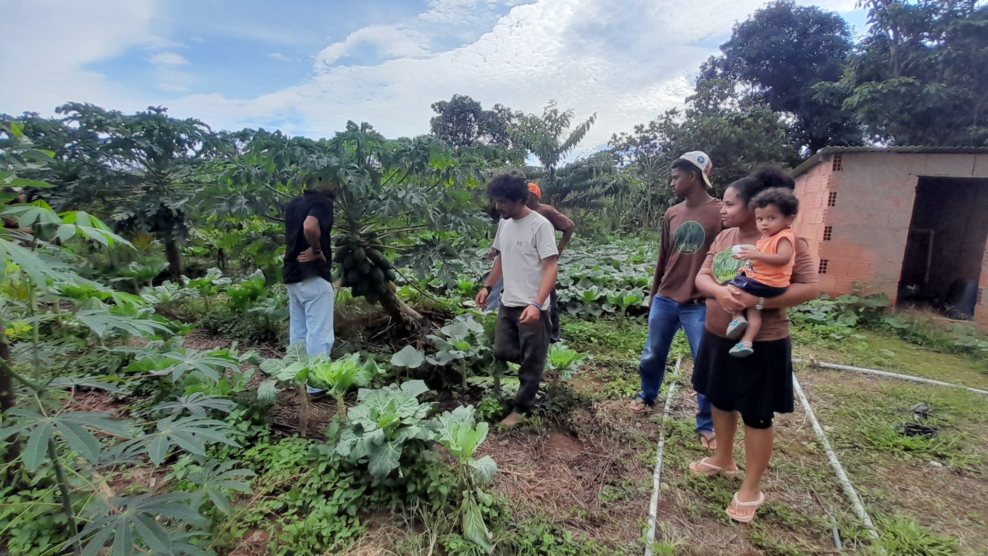 produtores organicos