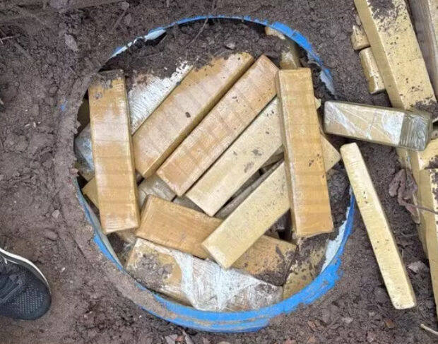 captura de tela 2024 12 04 072458