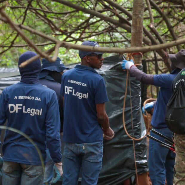 whatsapp image 2024 12 04 at 11.43.53