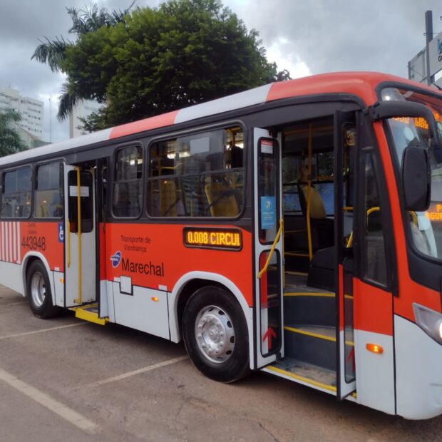 zebrinha marechal
