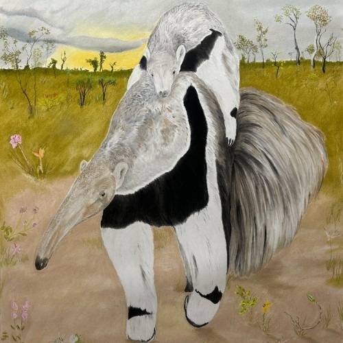 exposição cerrado vivo deboa brasilia