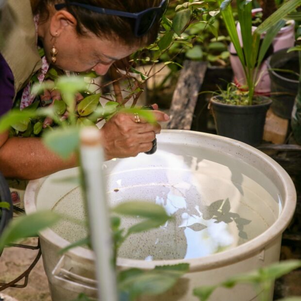 auditores vao focar na identificacao e eliminacao de possiveis criadouros do aedes aegypti. foto ualisson noronha agencia saude df 1920x1280