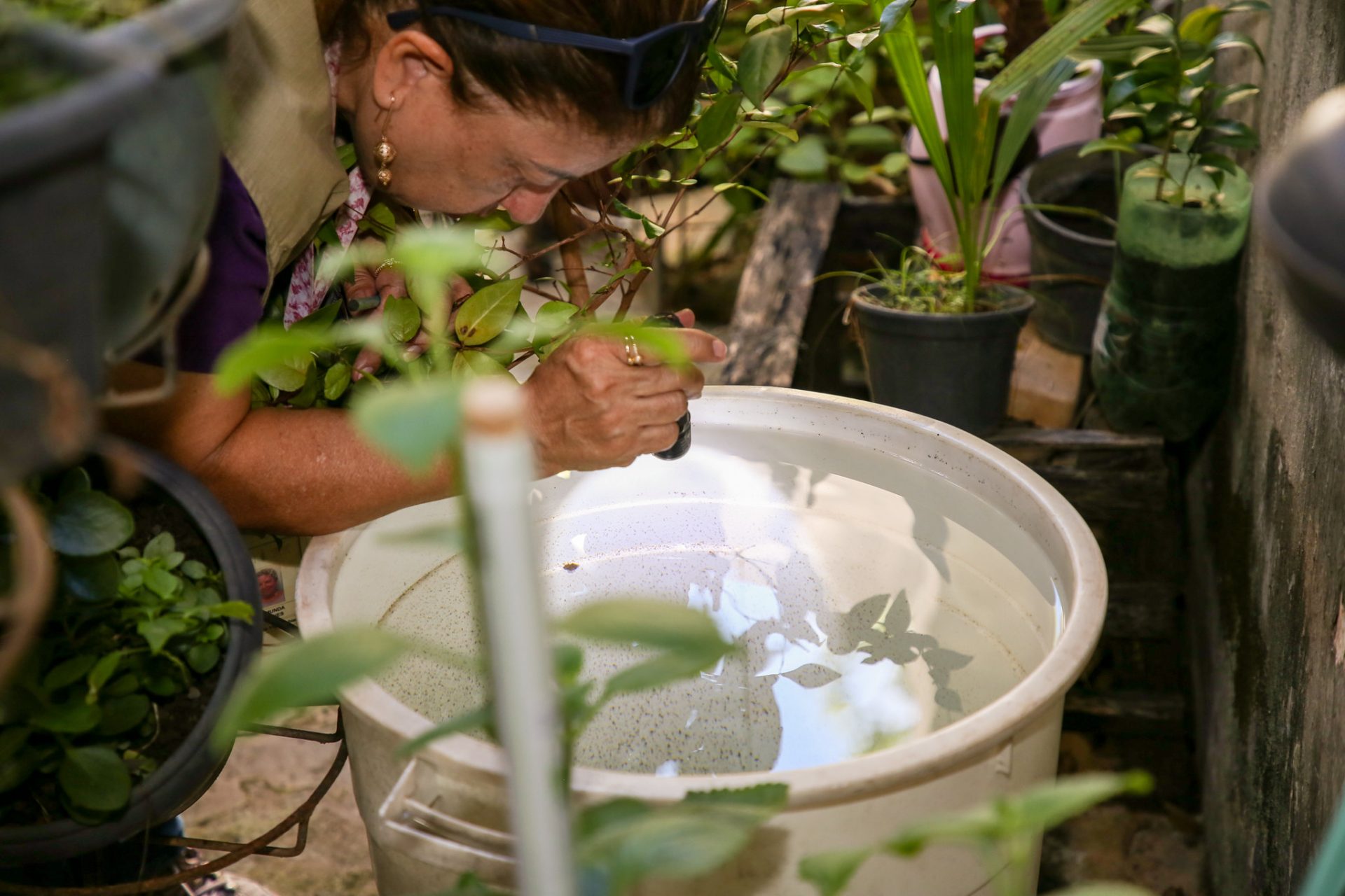auditores vao focar na identificacao e eliminacao de possiveis criadouros do aedes aegypti. foto ualisson noronha agencia saude df 1920x1280