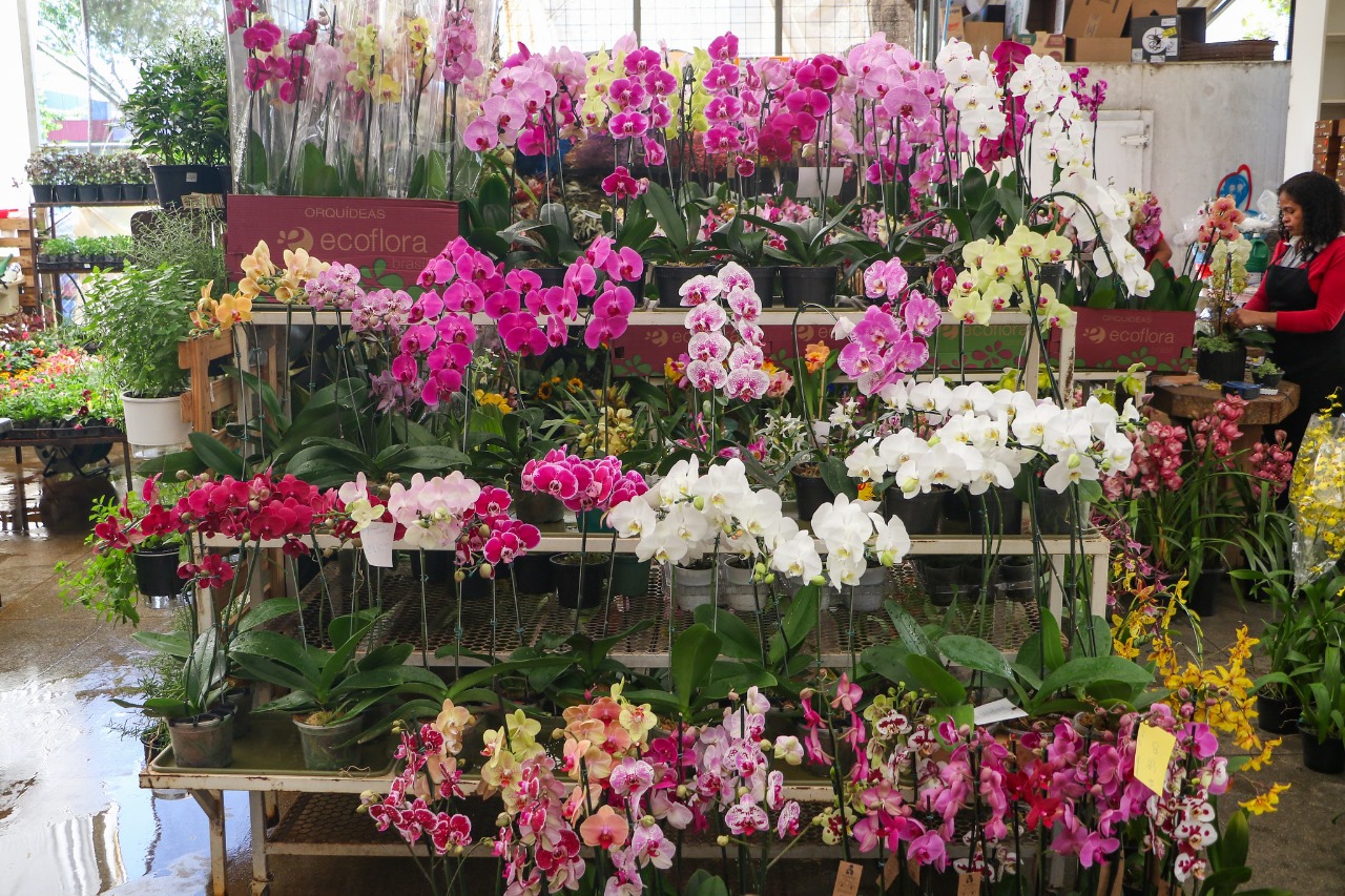 whatsapp image 2024 12 07 at 09.45.32