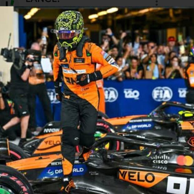 whatsapp image 2024 12 08 at 19.06.36