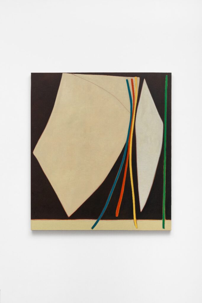 whatsapp image 2024 12 09 at 10.00.53 (2)