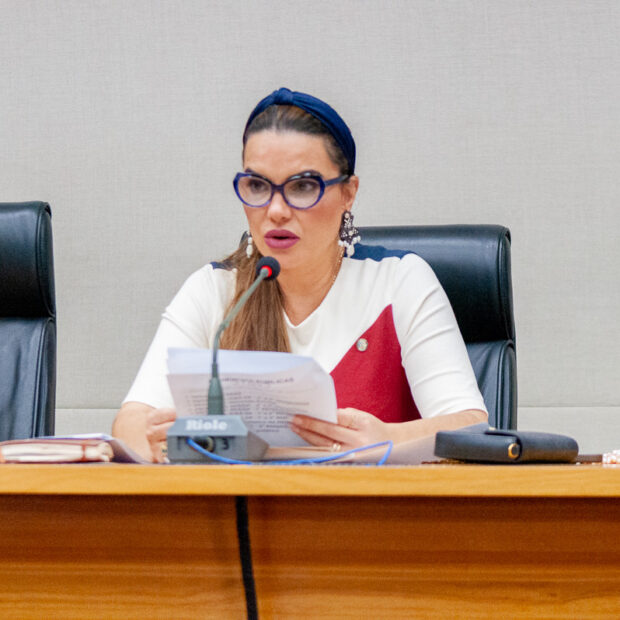 comissão de fiscalização, governança, transparência e controle – cfgtc