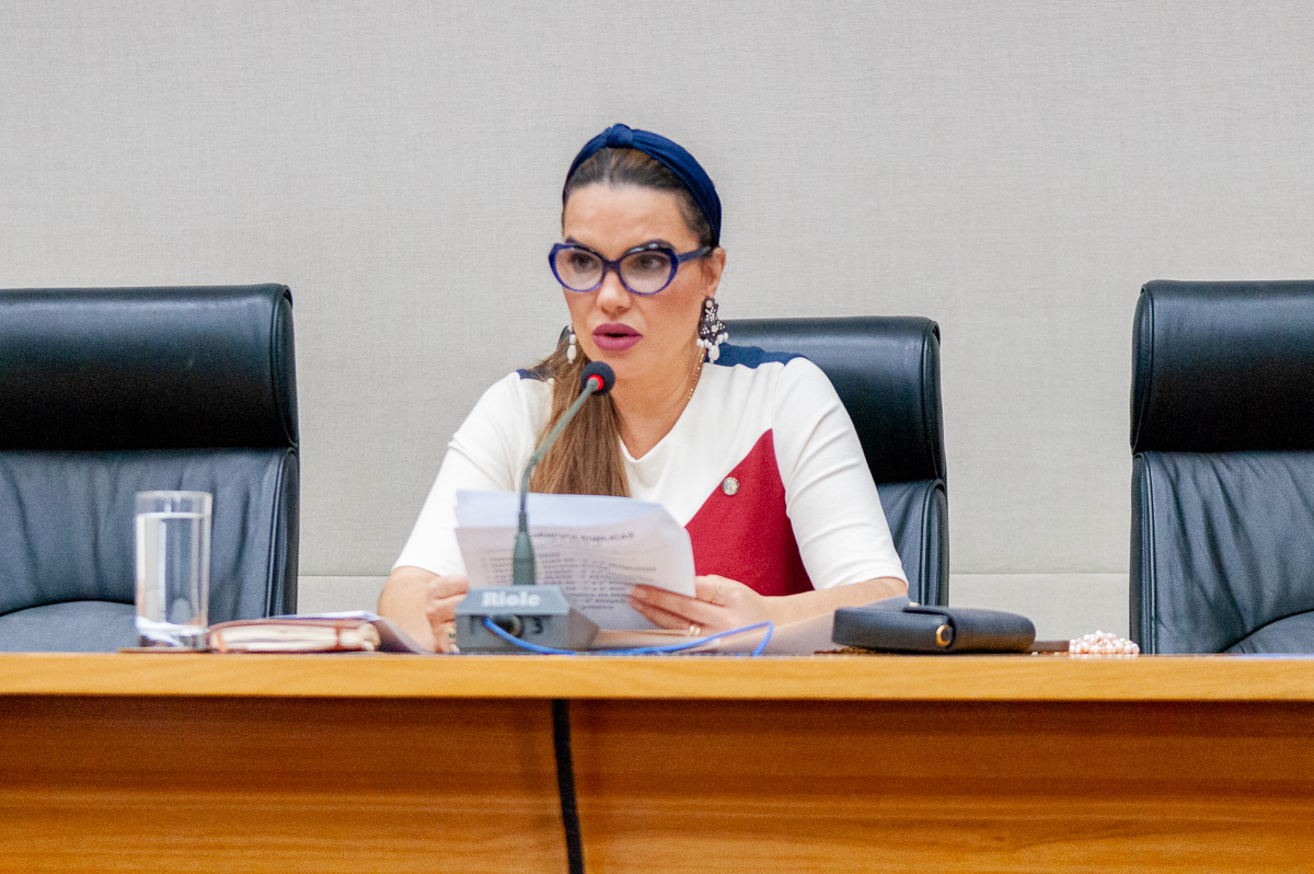 comissão de fiscalização, governança, transparência e controle – cfgtc