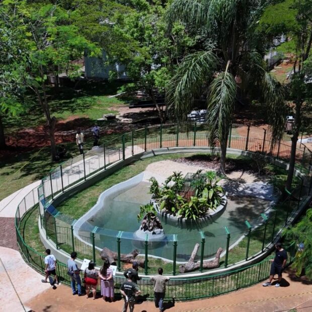 11.12. materia zoologico de brasilia e1733929706404