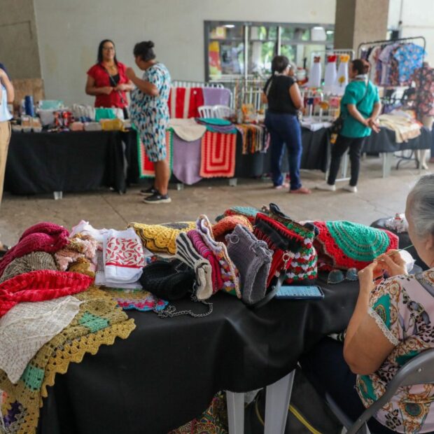 semana do empreendedorismo feminino impulsiona geração de renda em brasília