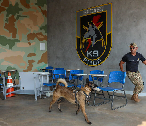 54039901598 94c6410b19 c