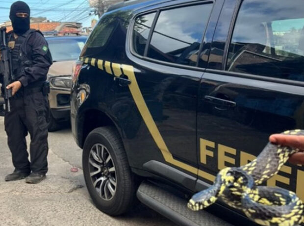 captura de tela 2024 12 12 110133