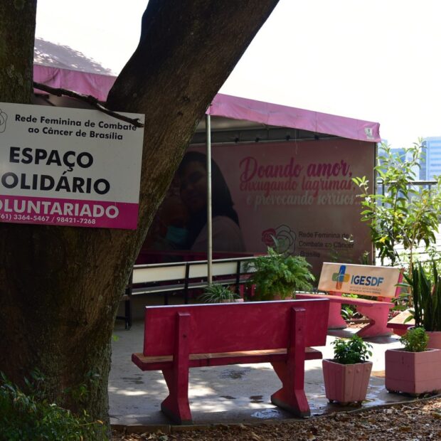 feminino cancer rede