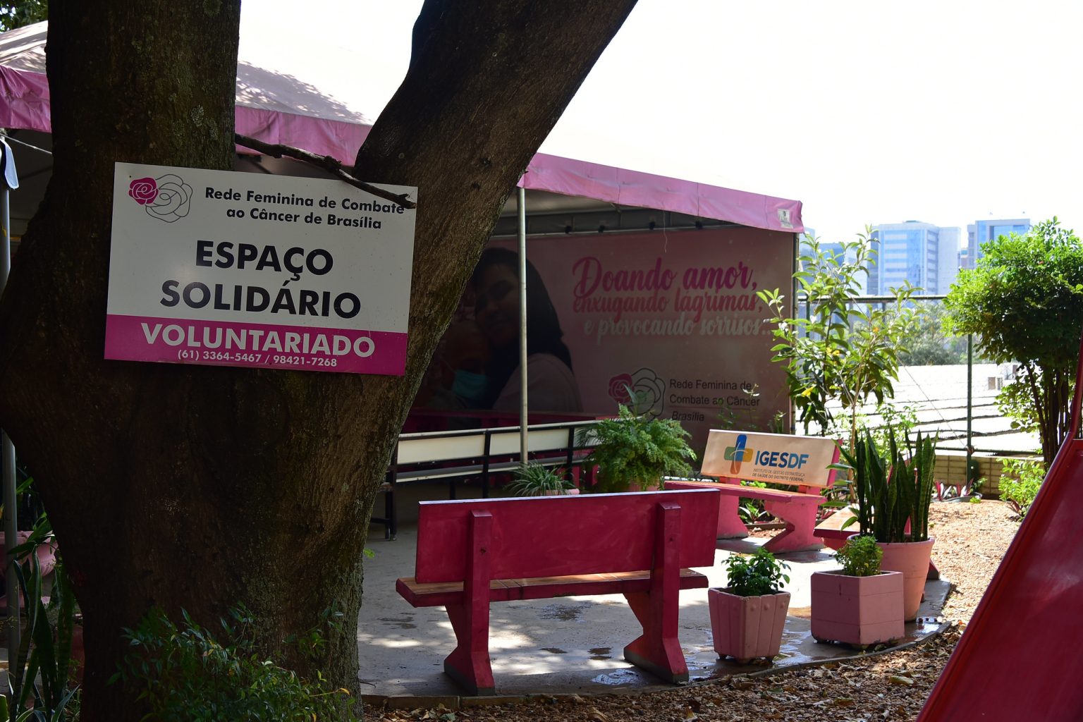 feminino cancer rede