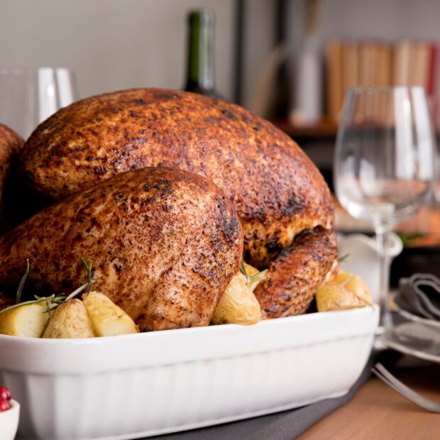 peru de natal ilustrativa