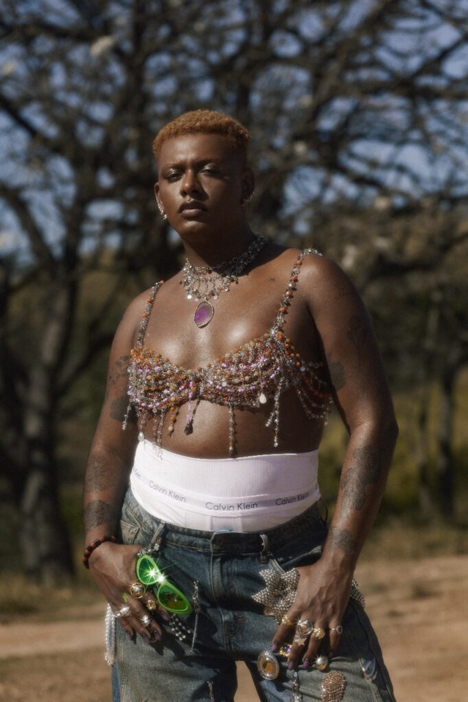 whatsapp image 2024 12 13 at 15.43.39 (1)