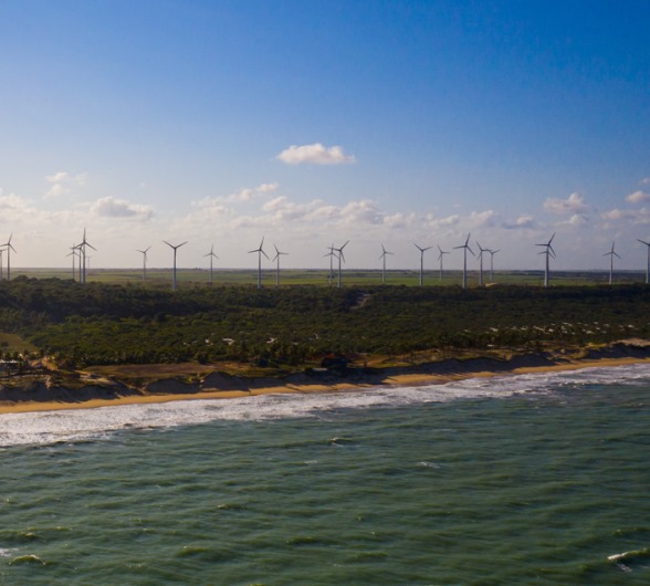 whatsapp image 2024 12 19 at 12.05.45