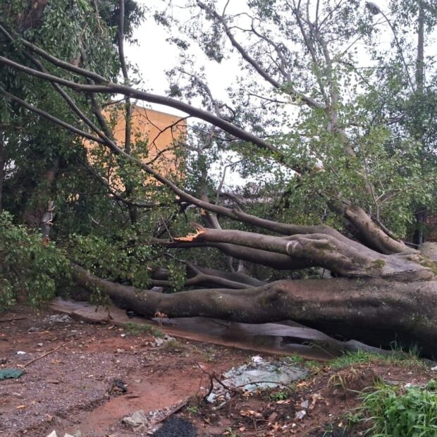 imagem do whatsapp de 2024 12 19 à(s) 18.53.59 39a07eee