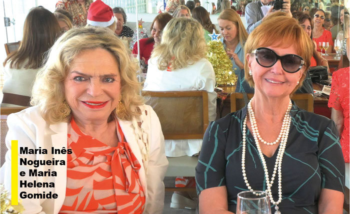 maria inês nogueira e maria helena gomide