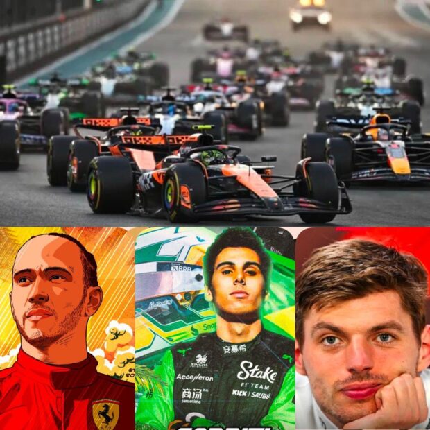 whatsapp image 2024 12 20 at 15.06.20