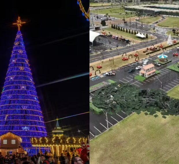 árvore de natal