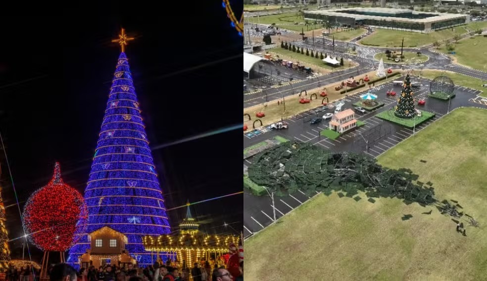 árvore de natal