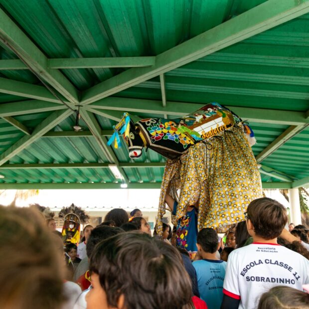 boi do seu teodoro foto divulgacao