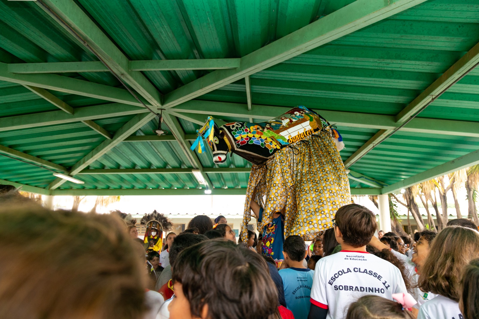 boi do seu teodoro foto divulgacao