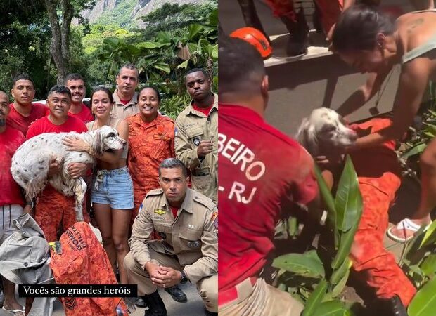 anitta aciona corpo de bombeiros e resgata cachorro apos desaparecimento no natal widelg