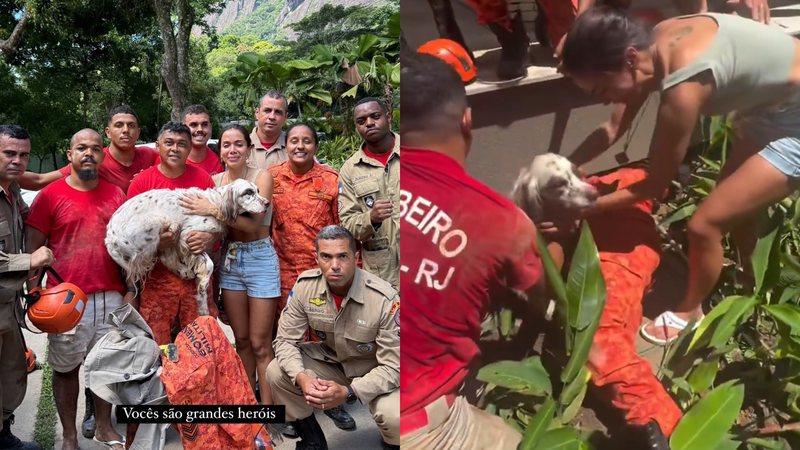 anitta aciona corpo de bombeiros e resgata cachorro apos desaparecimento no natal widelg