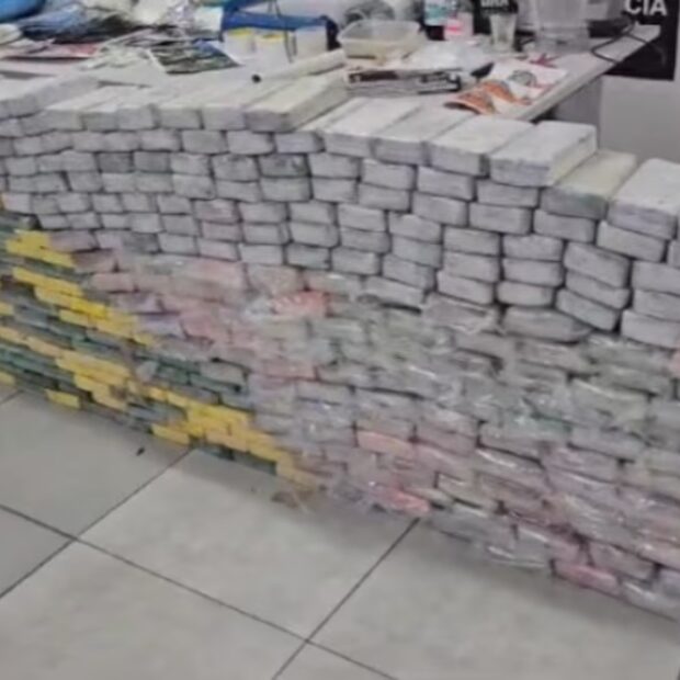 cng4wzlorndbjiokvuxktnauka