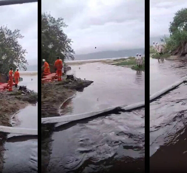 f1ed96b0 de06 45af 82d7 1d91447a3827