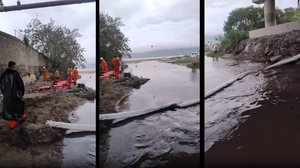 f1ed96b0 de06 45af 82d7 1d91447a3827