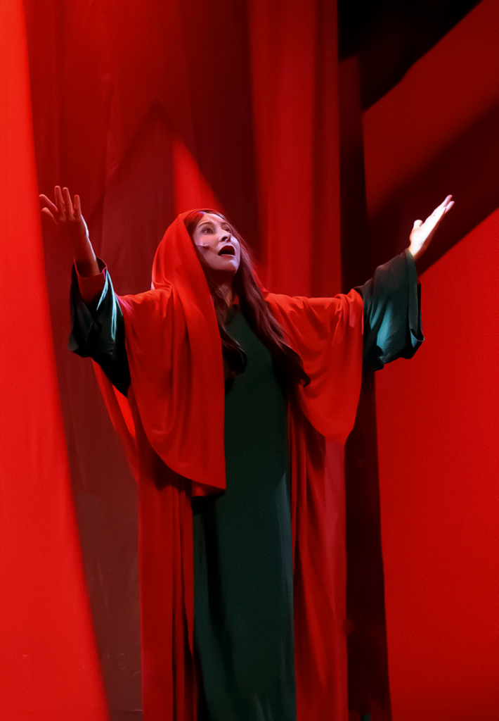 espetáculo dingou béus, da cia. os melhores do mundo foto de rayssa coe (2)