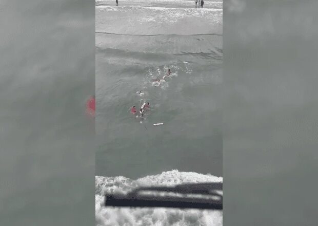 0315abf2 3102 4b92 8543 41e601c21ff7