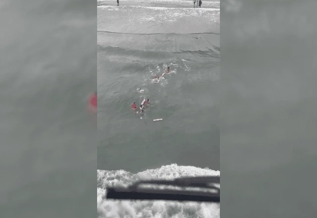 0315abf2 3102 4b92 8543 41e601c21ff7