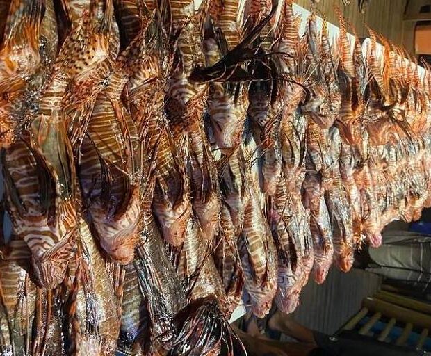 c2aff25b 6ce4 4d40 8c1b f589317868e4