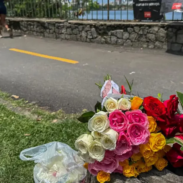 vandalismo memorial criancas mortas lagoa flores 291224