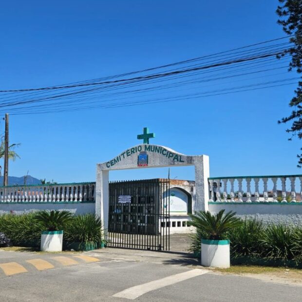 gatos congelados ossadas humanas sacos cemiterio matinhos3