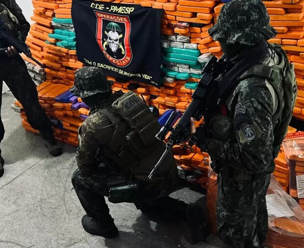 policiais civis descobriram esconderijo de drogas em jarinu sp 13 tonelada de maconha foi apreendida