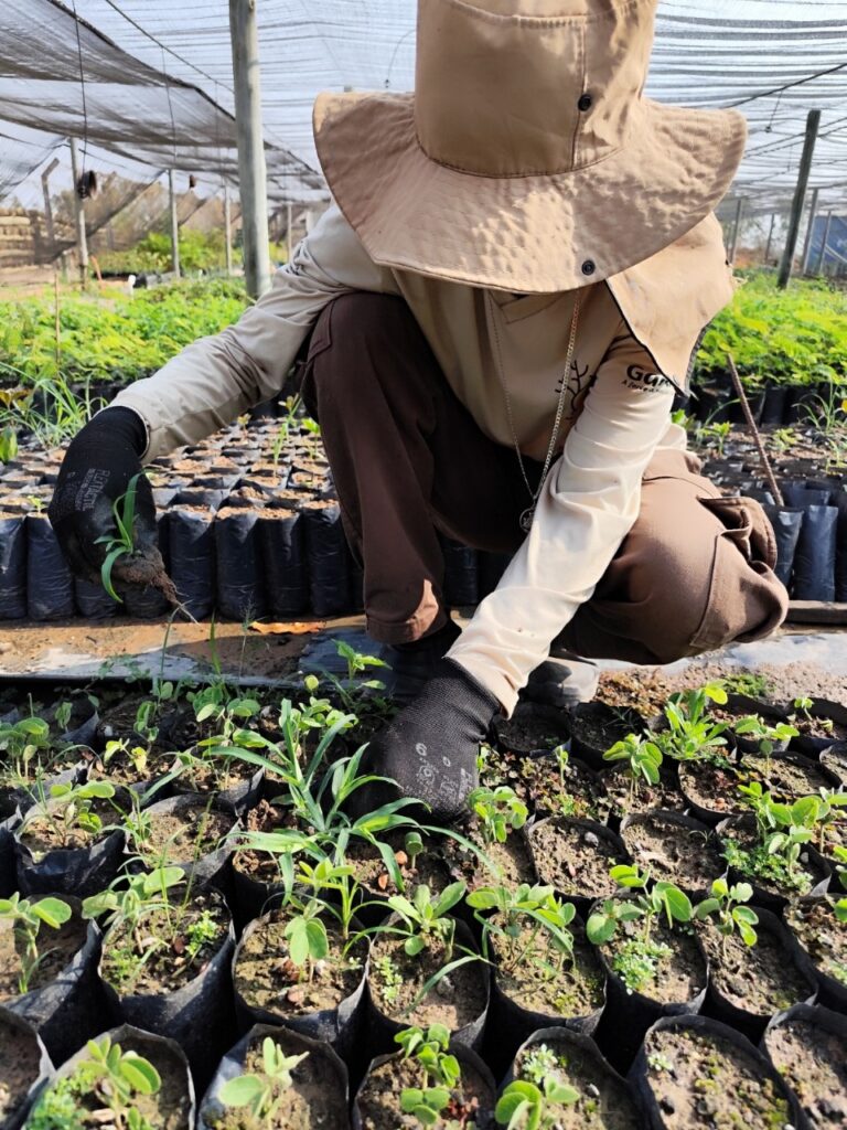 whatsapp image 2025 01 07 at 08.08.01 (1)